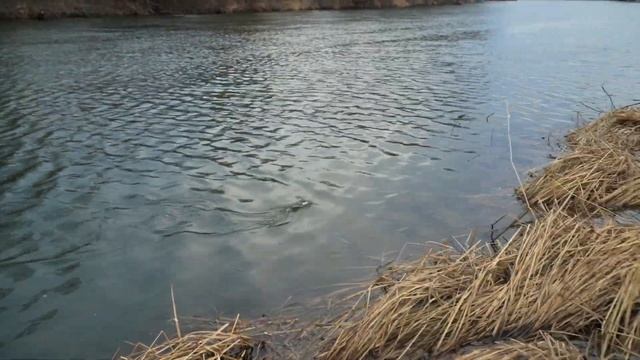 ДжигРиг - январский спиннинг