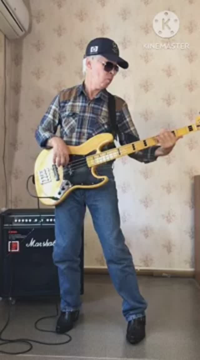 Gino Vannelli - Wild Horses Bass cover)