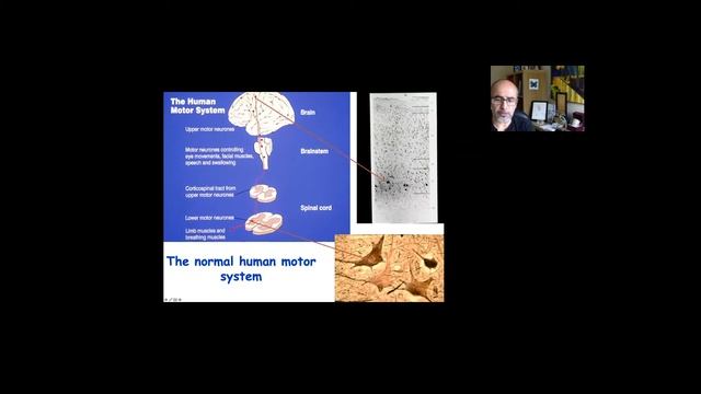 PRIS'20 - Prof. Mimoun Azzuz: "Prospects for Gene Therapeutics in Neurodegenerative Diseases"