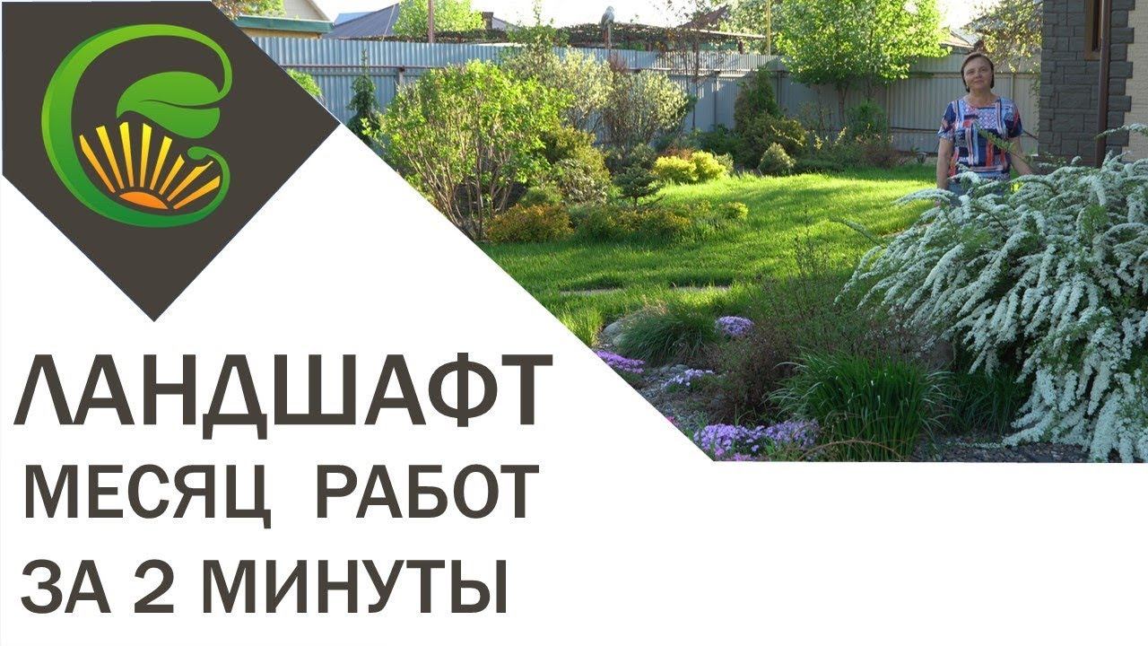 Месяц ландшафтных работ за две минуты