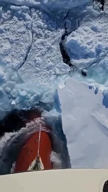 Imagine the coldness of that water.. 🥲😳🥶