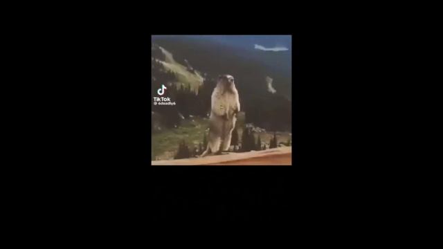 Завтра дуэль на 600голды