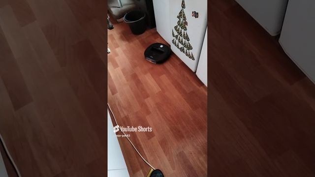 Собака и робот пылесос #пылесос #собака #животные #дача