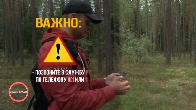 Что делать если заблудился в лесу