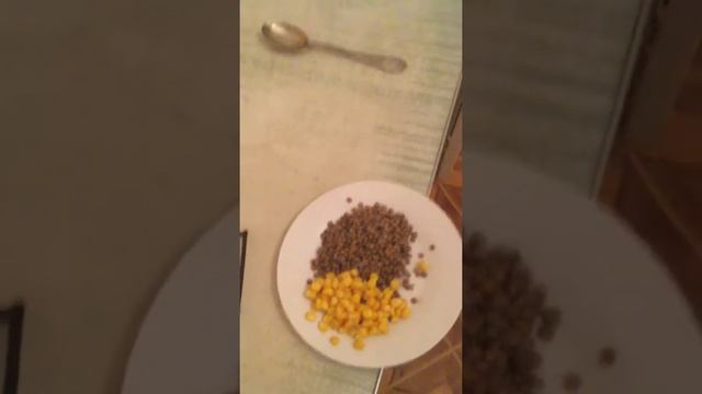 чечевица и треп за ней!
