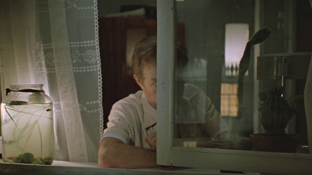 3.100.gramm.dlya.hrabrosti.1976.x264.BDRip.(AVC)