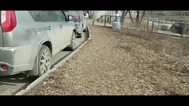 Перилы и знаки парковки имеются а комфортный доступ для мам с колясками в парк отсутствует