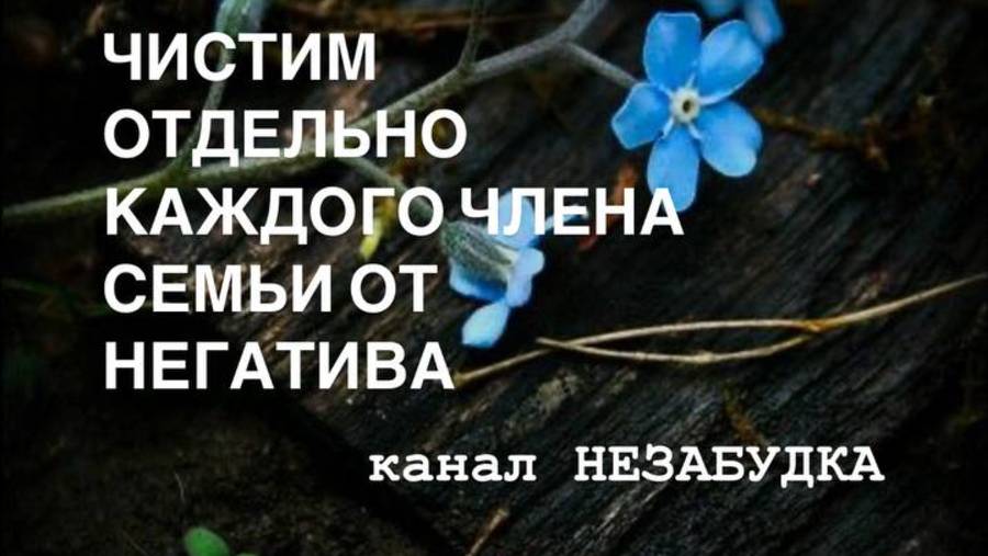 ЧИСТИМ ОТДЕЛЬНО КАЖДОГО ЧЛЕНА СЕМЬИ ОТ НЕГАТИВА 🔮