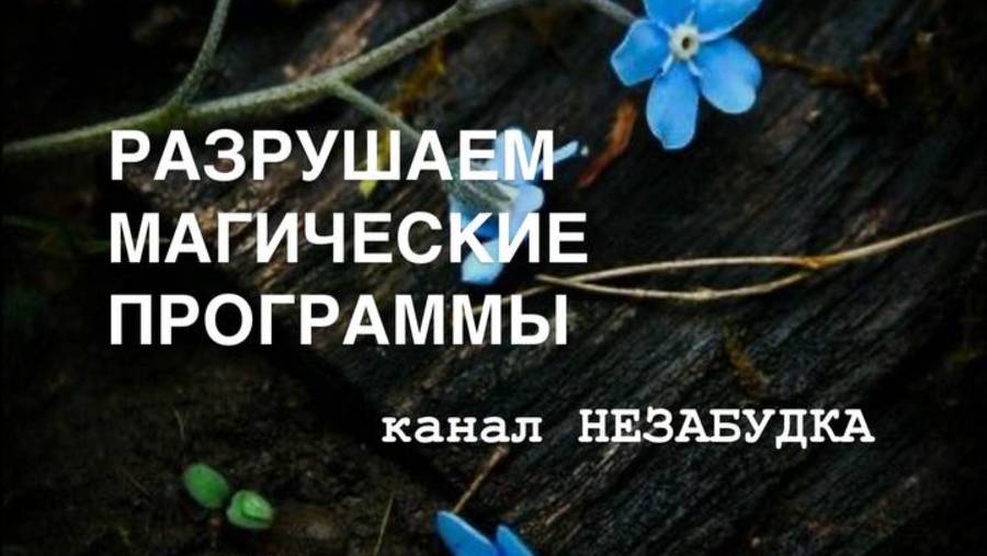 РАЗРУШАЕМ МАГИЧЕСКИЕ ПРОГРАММЫ 🔮