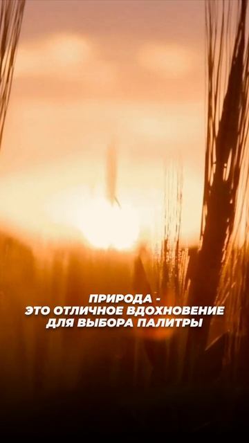 ЦВЕТА, которые делают ремонт СТАТУСНЫМ! | Мебель из Китая