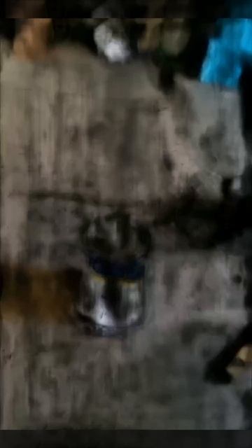 Получилась довольно смешная ситуация