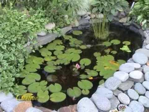 Водоемы