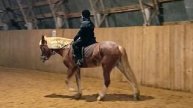 Алена и Каспер, манежная езда 1.3 подготовка к соревнованиям в "Пассаже"#horse #equestrian #лошади