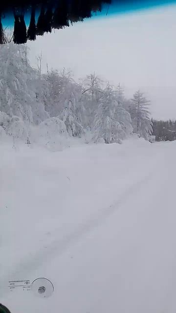 VID-20250203-WA0059.mp4