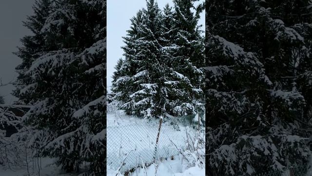 Сказочный земельный участок