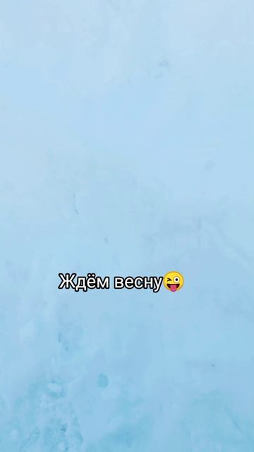 Питомцы💜
⠀
#ждемвесну #февраль2025 #кареглазаяблондинка #AlinaKlyukva #мойпесель