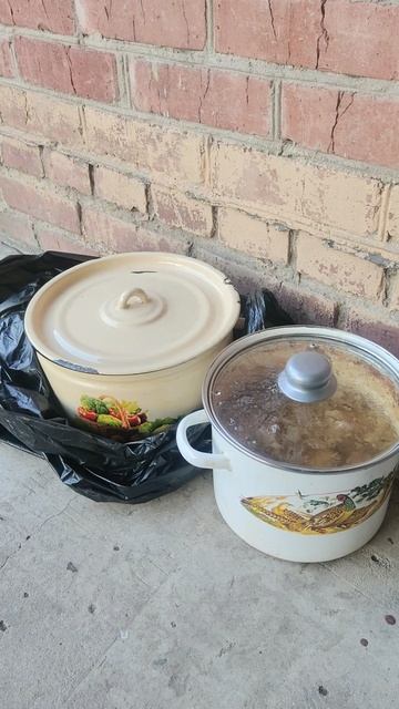 Спасибо волшебникам за помощь! Завтра, если будет бензин, отвезу вкусняшки хвостикам.