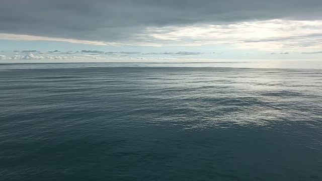 На море можно смотреть вечно ...