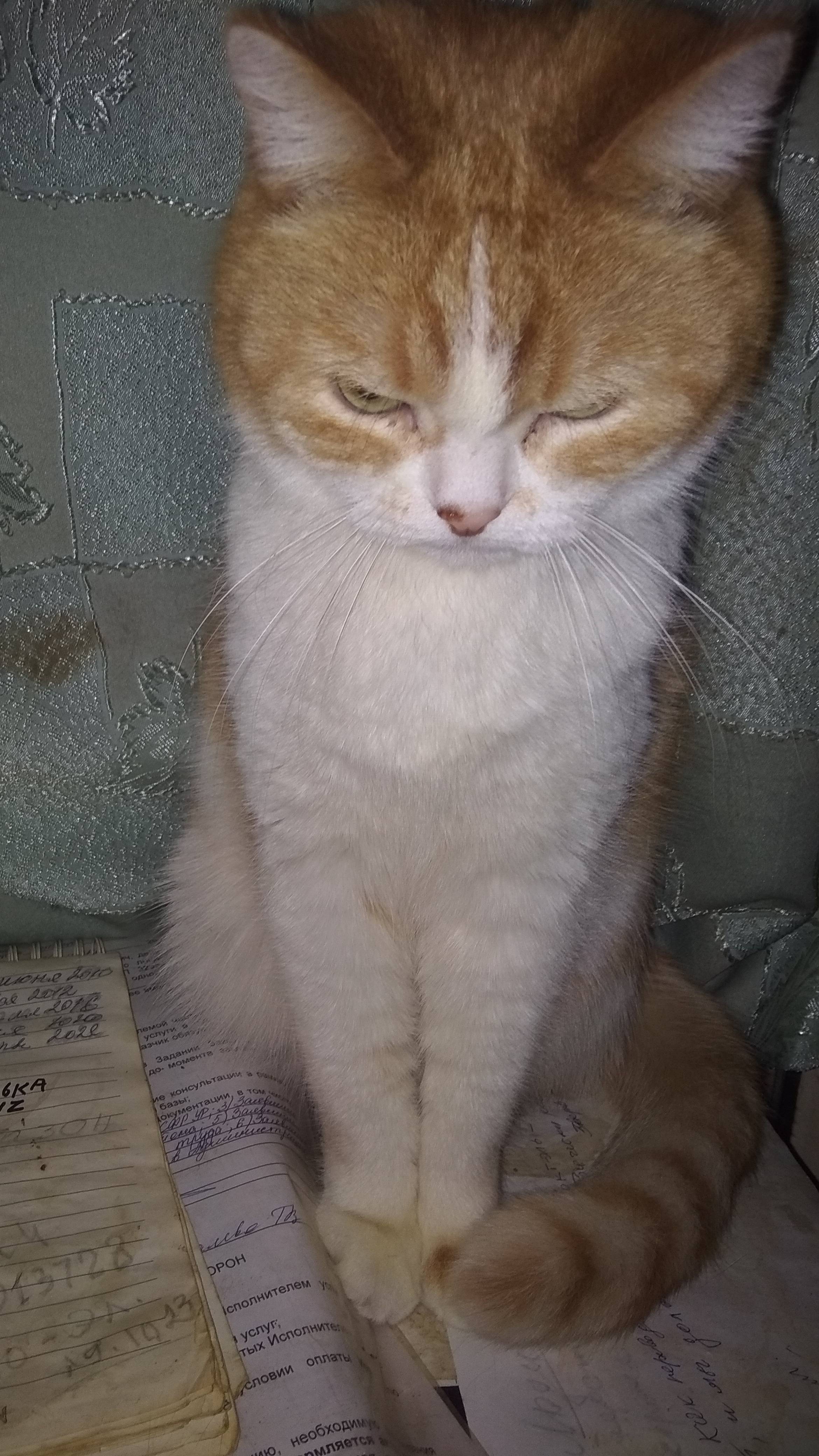 -Нежмоться!! ...😻 😼!!!!!
 https://yoomoney.ru/to/410011211689110