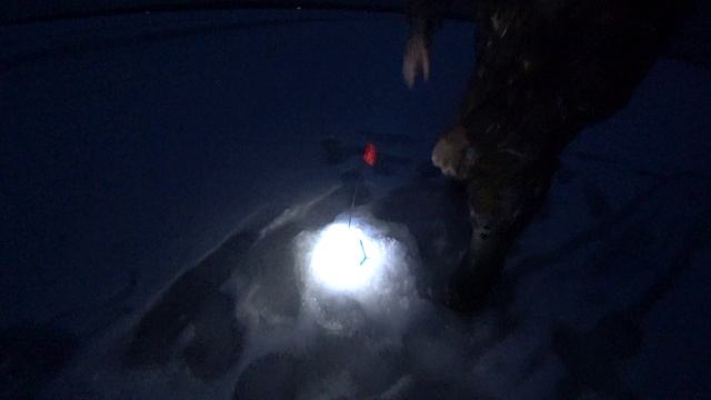 Поехали за Лещём, наловили судака