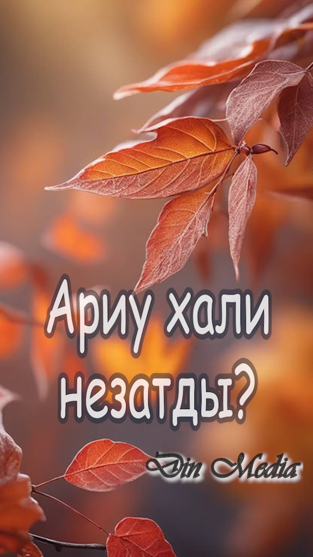 Ариу хали незатды?