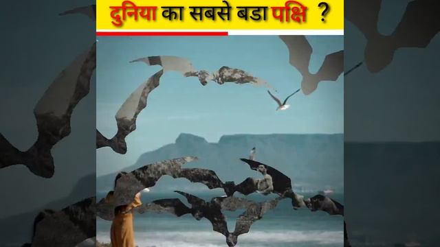 Elephant bird🤔 दुनिया का सबसे बड़ा पक्षी 🌍। the factica land। Rahul kashyap shorts
