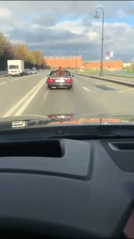 перевозка собаки в кабриолете )