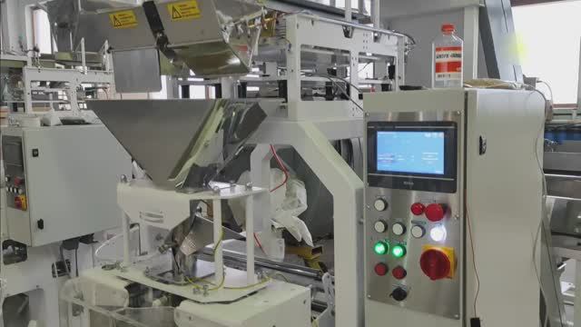 Упаковочная линия на базе автомата 55.21 с двухручьевым дозатором. Фасовка сыпучего продукта в модиф