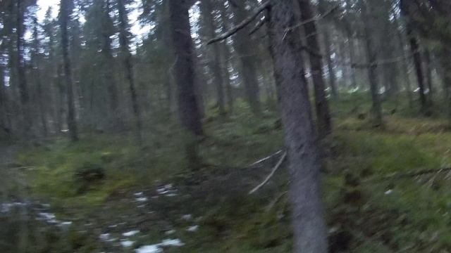 поход за водой17г