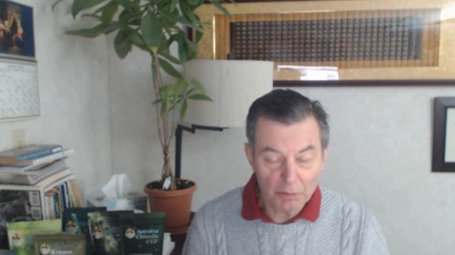 How I Became the Largest Chlorella Importer in the USA