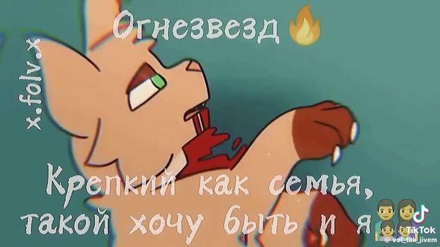 Коты-воители как строки из песни