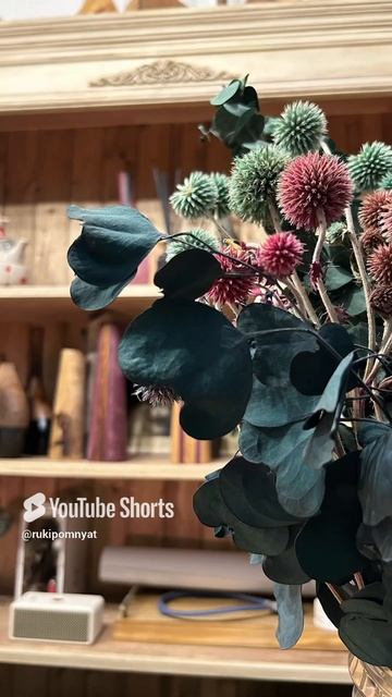 Вазон,flowerpot,花盆,maceta,pot bunga,vaso de flores,vaso de flores,pot à fleurs,Blumentopf,زهور.