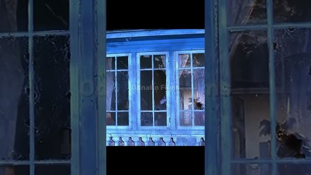 odnako_films_2025-02-03-21-49-52_1738608592851.mp4