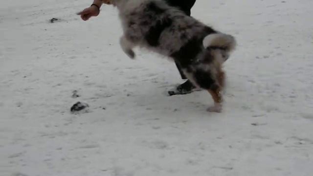 Алекс