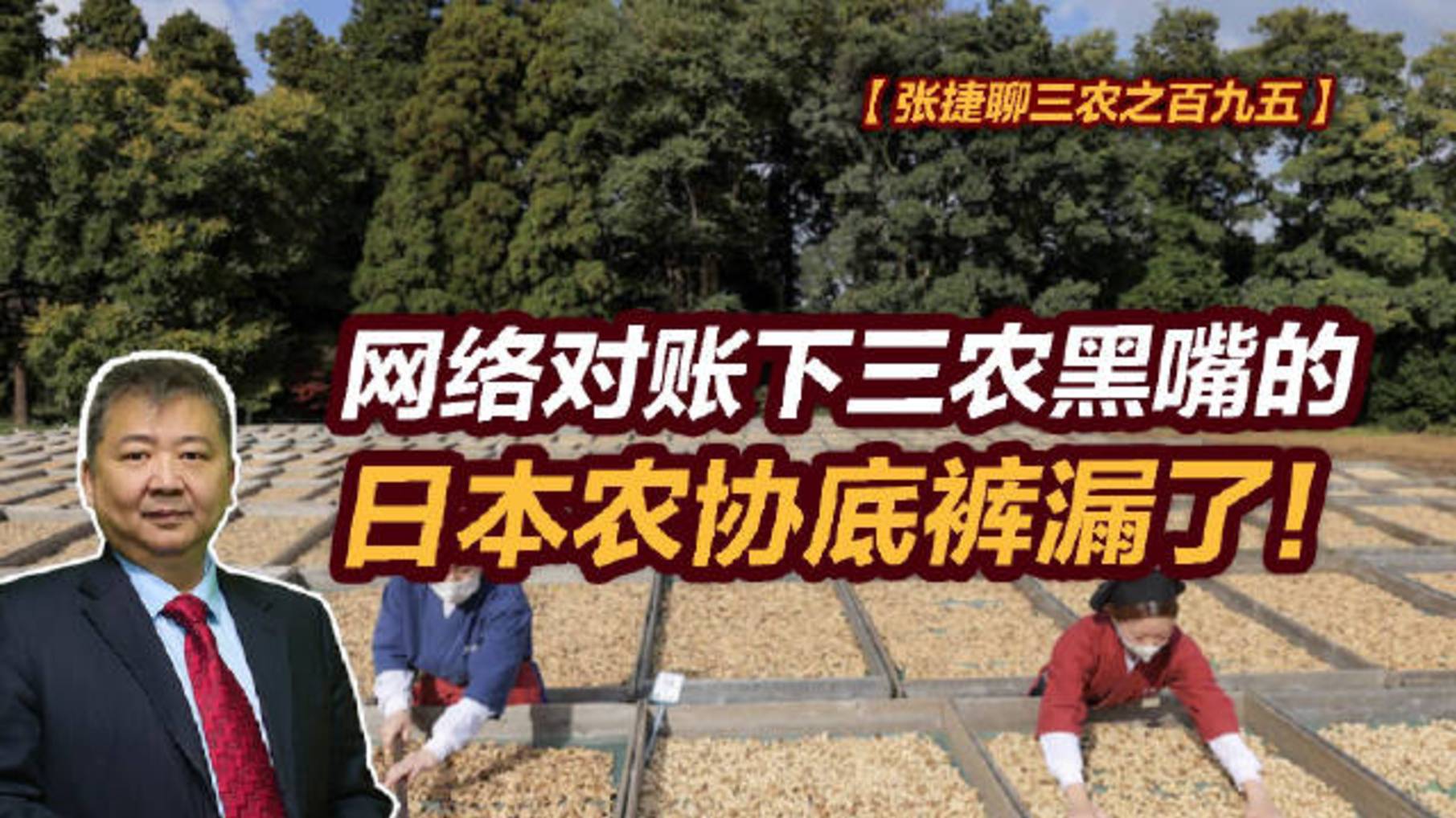 【张捷聊三农之百九五】网络对账下三农黑嘴的日本农协底裤漏了！