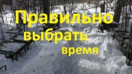 Когда лучше весной выставлять пчел