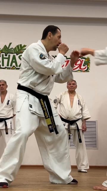 Кёкусин-Кик / Зимняя Школа ФКР-2025 / Оттяжка-6 / Сихан Станислав Винокуров (11)