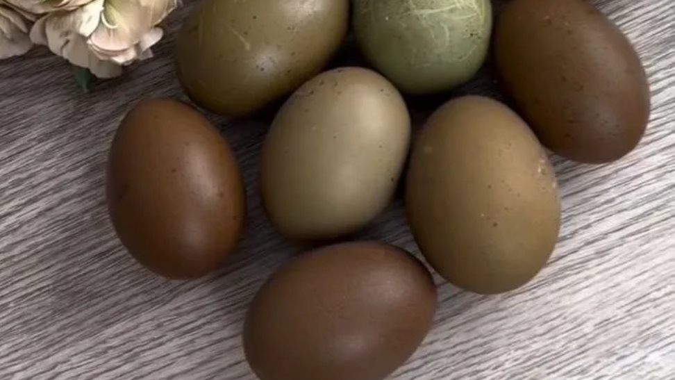 10-02-2025  Даже и не мечтала о таком.😅 Дизайнерское яйцо 🥚 🤗.