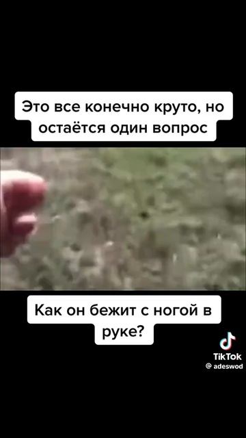 c80276c0cb9535837c7d9e00ed73e4d8.mp4