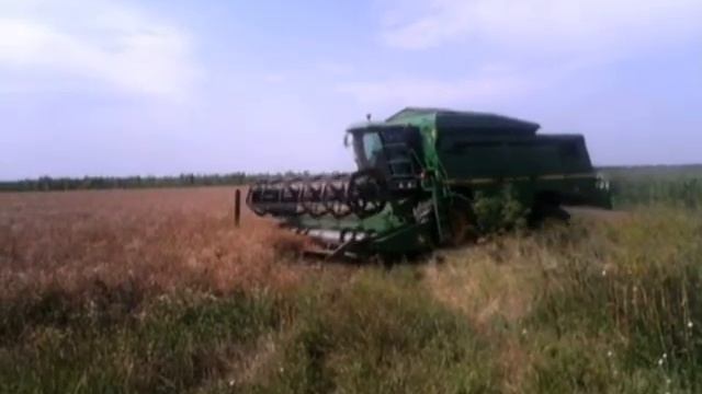 Repce aratás / raps Harvest 2014
