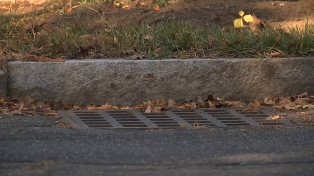Fallen leaves are prompting street flooding concerns as storm approaches