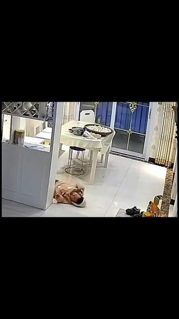 Весь в отца