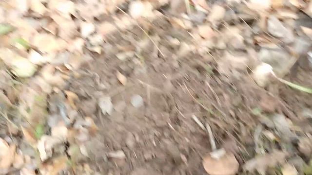 Первый раз нашел такой штурвал!