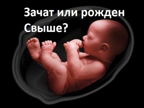 Зачат или рожден Свыше?