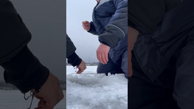 Озернинское водохранилище. Поймана самая большая рыба за всю историю!!! Смотреть до конца!!!!