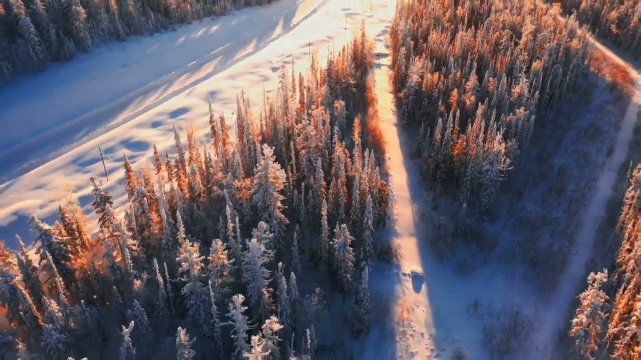 DJI Mavic 2 Pro / Apex250 / Insta 360 go2/GoPro 6/ Mist, - 37c