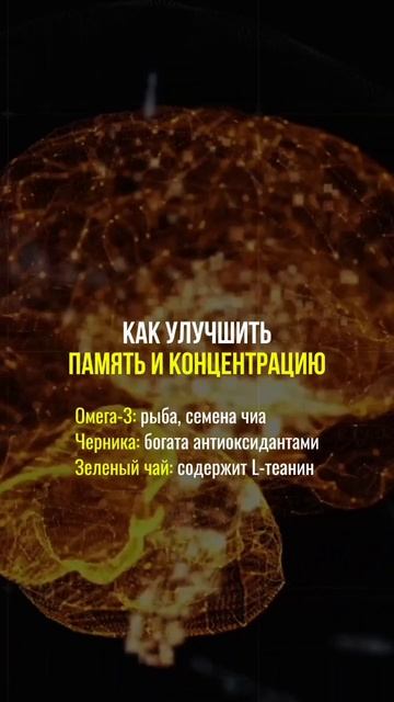 как улучшить память и концентрацию внимания