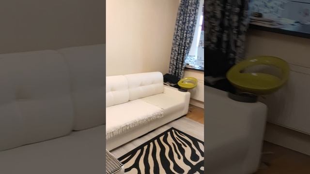 1000237038.mp4