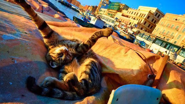 Ты украл мое сердце? Просто круть! Мурашки по коже!