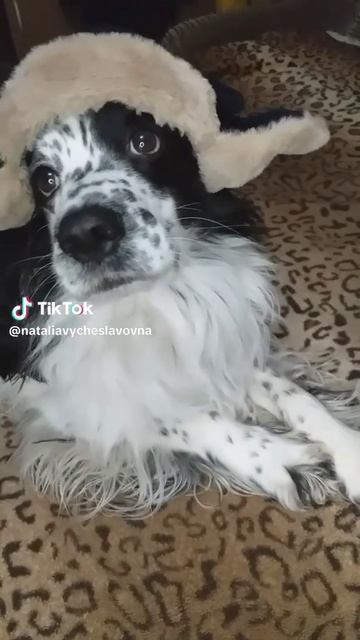 Ты купил себе шапку?...)))